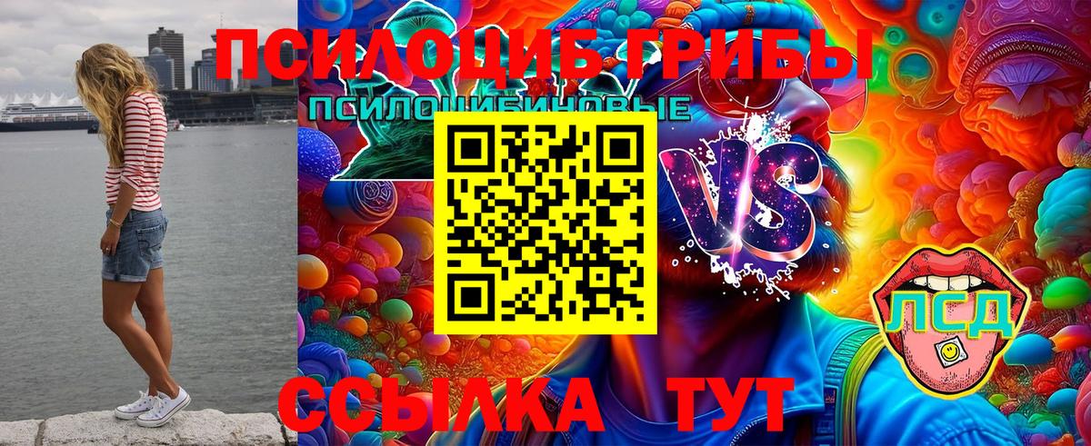 Нефтеюганск  Псилоцибиновые грибы ЛСД  Вход с VPN 